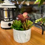 Artificial Plants Cute Colourful Succulents in Ceramic Planter Fake Plant Flower... - Image 4