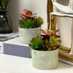Artificial Plants Cute Colourful Succulents in Ceramic Planter Fake Plant Flower... - Image 6