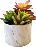 Artificial Plants Cute Colourful Succulents in Ceramic Planter Fake Plant Flower... - Image 8