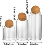Glass Storage Jars with Ball Cork Lids - 3 Pcs Set, Decorative Round Glass Canis... - Image 5