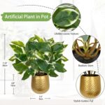 Oairse Articicial Plants Indoor Small Fake Plants in Pots Faux Pothos N‘ Joy Pot... - Image 3