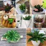 JUSTOYOU Large Artificial Succulents Aloe Plants Real Touch Fake Flowers Unpotte... - Image 4