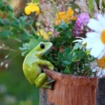 Top Collection Miniature Fairy Garden and Terrarium Frog Flower Pot and Vase Hug... - Image 3