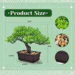 Der Rose 8 Inch Fake Plants Artificial Bonsai Tree Ficus for Home Office Desk Ta... - Image 4