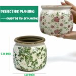 Dosayes Vintage Ceramic Ice Crack Flower Pot with Drainage Holes, Country Rustic... - Image 3