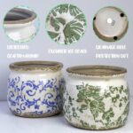 Dosayes Vintage Ceramic Ice Crack Flower Pot with Drainage Holes, Country Rustic... - Image 4
