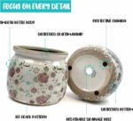 Dosayes Vintage Ceramic Ice Crack Flower Pot with Drainage Holes, Country Rustic... - Image 6
