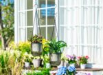 Josteve 4.5 Inch 2 Pcs Self Watering Hanging Planter Indoor Plant Pots Drainage ... - Image 3