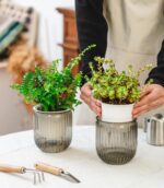 Josteve 4.5 Inch 2 Pcs Self Watering Hanging Planter Indoor Plant Pots Drainage ... - Image 4