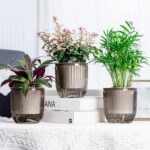 Josteve 4.5 Inch 2 Pcs Self Watering Hanging Planter Indoor Plant Pots Drainage ... - Image 7