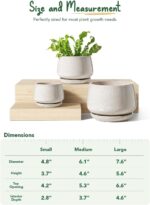 LE TAUCI Plant Pots, 4.1+5.1+6.5 inch, Set of 3, Ceramic Planters with Drainage ... - Image 3