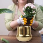 Brass Gold Plant Pot Indoor Planter Small Flower Pot 6 inch Ceramic Plant Flower... - Image 6