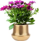 Brass Gold Plant Pot Indoor Planter Small Flower Pot 6 inch Ceramic Plant Flower... - Image 8