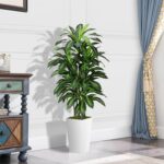 Artificial Dracaena Plant Indoor 5FT - Fake Tree with White Tall Planter - Faux ... - Image 3
