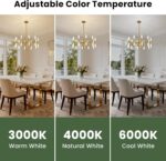 Modern Gold Chandelier 20-Light, Luxury Round Sputnik Chandeliers with Acrylic S... - Image 7