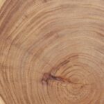 Deco 79 Wood Abstract Handmade Decorative Sculpture Live Edge Slab Home Decor St... - Image 10