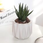 Plant Pot 4 Inch Ceramic Pots, Set of 2 Flower Pots Crackle Glaze Small Planters... - Image 5