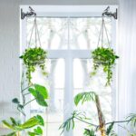 2-Pack Hanging Planters for Indoor Plants - Heavy Duty Metal Plant Hanger Indoor... - Image 4