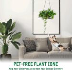 2-Pack Hanging Planters for Indoor Plants - Heavy Duty Metal Plant Hanger Indoor... - Image 7