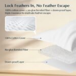 Pacific Coast Premium Goose Feather & Down Bed Pillows Queen Size 2-Pack, Hotel ... - Image 3