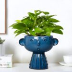 Head Planter Pot - 7 Inch Cute Face Planter for Indoor Outdoor Plants Ceramic Su... - Image 5