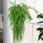 SzJias Artificial Hanging Plants Fake Plants Ferns Faux Hanging Plants for Patio... - Image 3