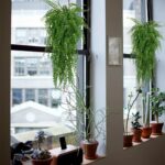 SzJias Artificial Hanging Plants Fake Plants Ferns Faux Hanging Plants for Patio... - Image 5