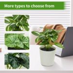 Freyalife 6 Pack Fake Plants for Room Decor,Mini Artificial Potted Plants for Ho... - Image 3