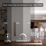 LED Color Changing Light Bulb with Remote Control, 60W Equivalent RGB Bulbs, 8W ... - Image 5