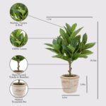 CG Hunter Faux Eucalyptus & Citrus Topiary, Set-of-2 Premium Artificial Indoor P... - Image 3