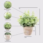 CG Hunter Faux Eucalyptus & Citrus Topiary, Set-of-2 Premium Artificial Indoor P... - Image 4