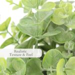 CG Hunter Faux Eucalyptus & Citrus Topiary, Set-of-2 Premium Artificial Indoor P... - Image 6