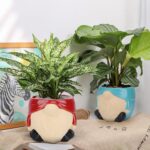 Ceramic Planter 6 Inch Plant Pots Indoor Outdoor Flower Pots Succulent Plant Pot... - Image 9