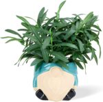 Ceramic Planter 6 Inch Plant Pots Indoor Outdoor Flower Pots Succulent Plant Pot... - Image 10