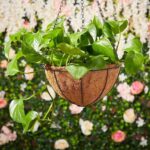 LCHUANG Hanging Baskets Planter for Plants - 2 Pack 10 Inch Metal Baskets with C... - Image 8
