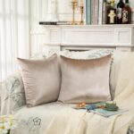 2 Pack Beige Velvet Pillow Covers, 20x20 Inches Decorative Cushion Covers for Co... - Image 6