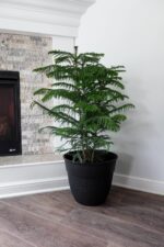 The HC Companies Brookhaven Decorative Round Planter - Lightweight Premium Resin... - Image 3