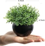 Velener Fake Sage Plants for Shelf Decor, Small Artificial Succulents Grass Desk... - Image 3