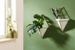 Umbra Trigg Hanging Planter Vase Wall Decor, Set of 2 Pots Containers for Succul... - Image 8