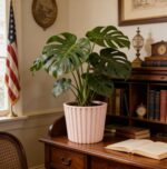 Ekirlin 7 Inch Indoor Plant Pot, Natural Resin Modern Planters, Graceful Curves ... - Image 3