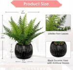 DILATATA Faux Plant Indoor in Ceramic Pot 11" Artificial Potted Fern Fake House ... - Image 3