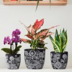Terracotta Pots, 6.5+5+4.4 Inch Plant Pots with Drainage Hole- Floral Pattern, B... - Image 3