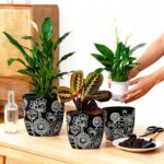 Terracotta Pots, 6.5+5+4.4 Inch Plant Pots with Drainage Hole- Floral Pattern, B... - Image 4