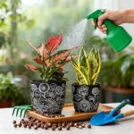 Terracotta Pots, 6.5+5+4.4 Inch Plant Pots with Drainage Hole- Floral Pattern, B... - Image 5