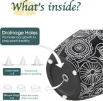 Terracotta Pots, 6.5+5+4.4 Inch Plant Pots with Drainage Hole- Floral Pattern, B... - Image 7
