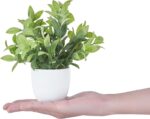 Mkono 4 Packs Fake Plants Mini Artificial Greenery Potted Plants Faux Eucalyptus... - Image 8