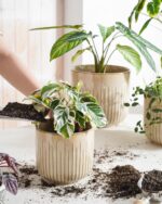 LE TAUCI Ceramic Pots for Plants, 8.3/7/6 Inch Indoor Planters with Drainage Hol... - Image 3