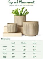 LE TAUCI Ceramic Pots for Plants, 8.3/7/6 Inch Indoor Planters with Drainage Hol... - Image 7