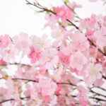 INXUGAO 12 PCS Faux Cherry Blossom Branches Decor 18.11 Inch Fake Artificial Che... - Image 4