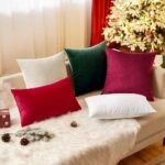 EMEMA Pack of 2 Velvet Throw Pillow Covers Decorative Rectangle Pillowcase Soft ... - Image 6
